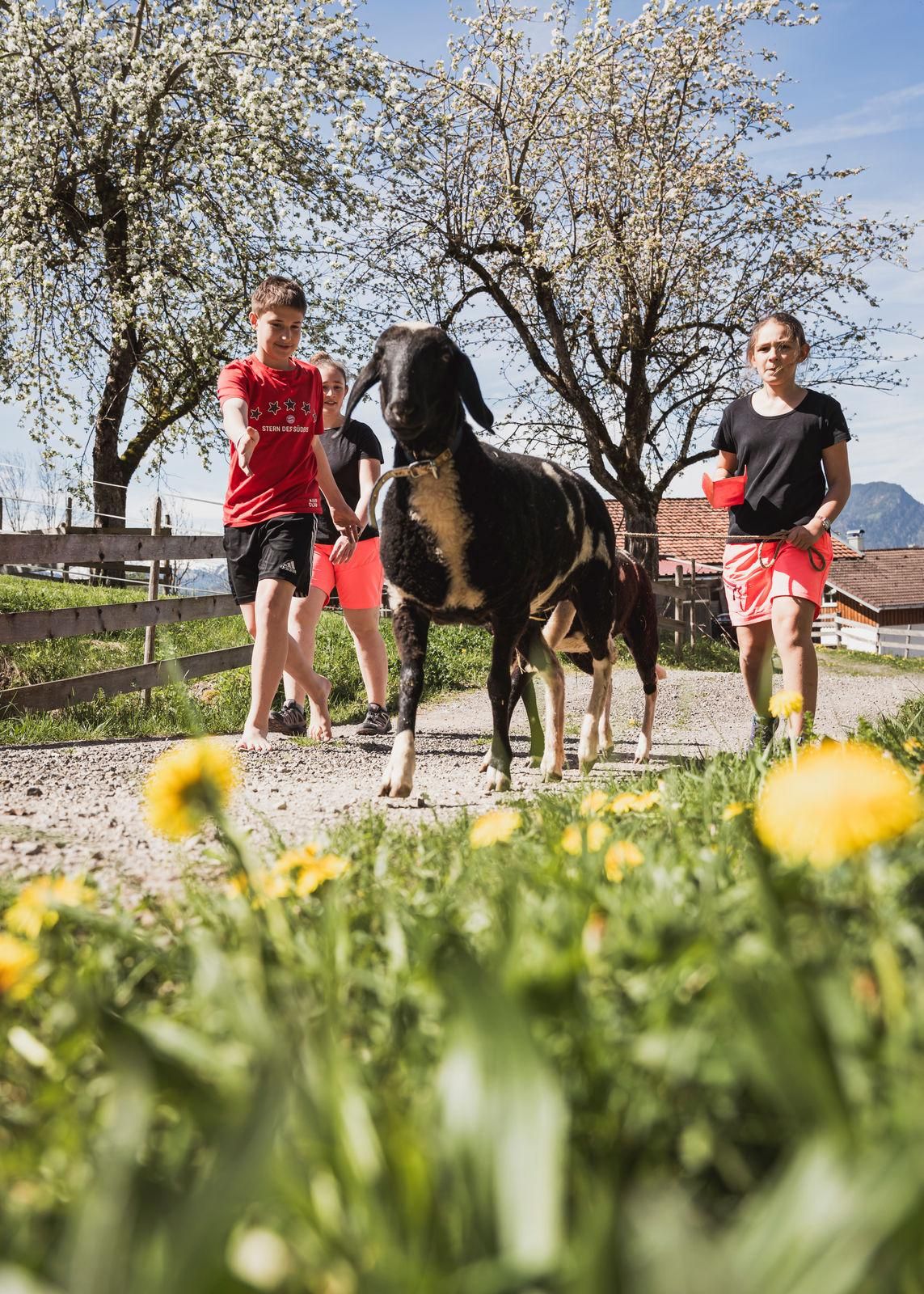 12 - 20240414-_DSC3699