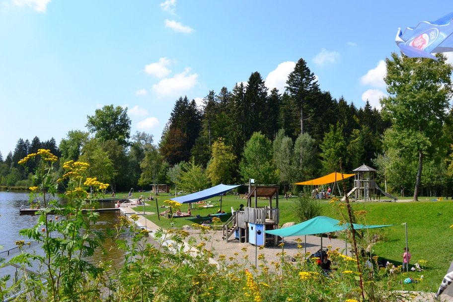 Waldseebad Liegewiese im Sommer