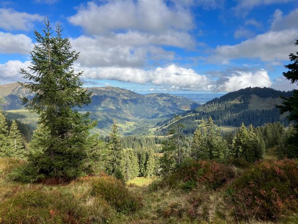 Blick Richtung Ofterschwanger Horn