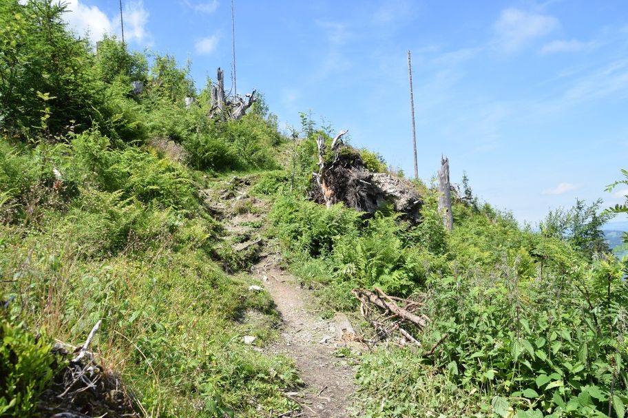 Wanderweg zum Sportheim Böck