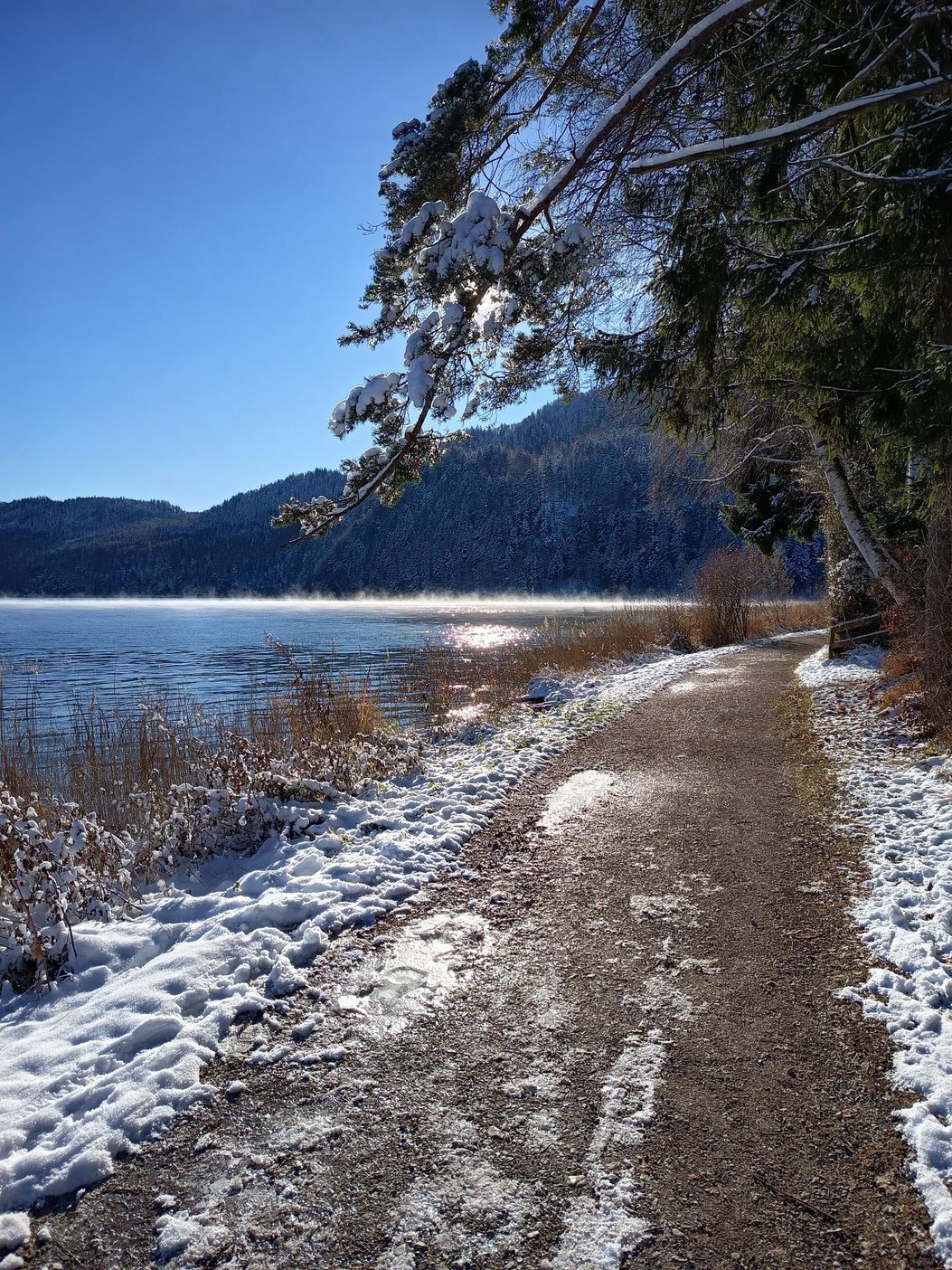 Novembermorgen am See