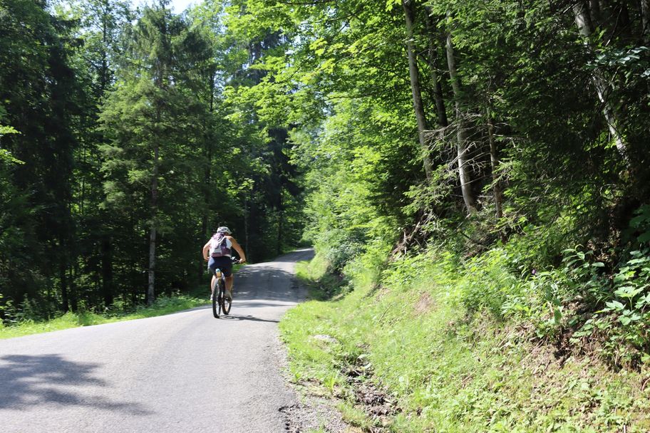 Auffahrt durch das Steigbachtal