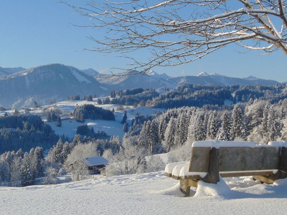 Setzen Sie sich im Sommer auf unsere Bank auf dem Aussichtshügel 100 m vom Haus