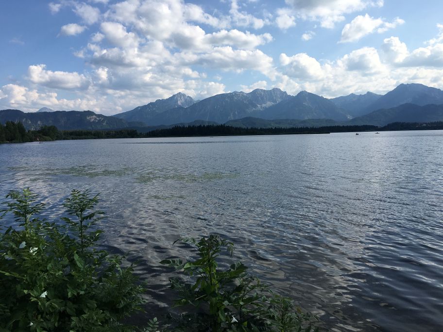 Blick über den Hopfensee