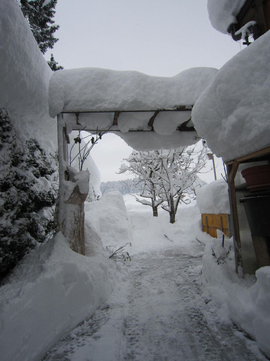 Winter2014-15 024
