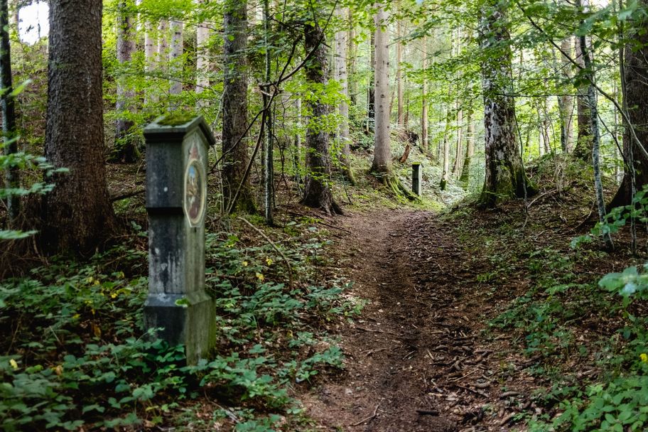 Auf stillen Wegen zur Ruine Vorderburg und dem Pestfriedhof