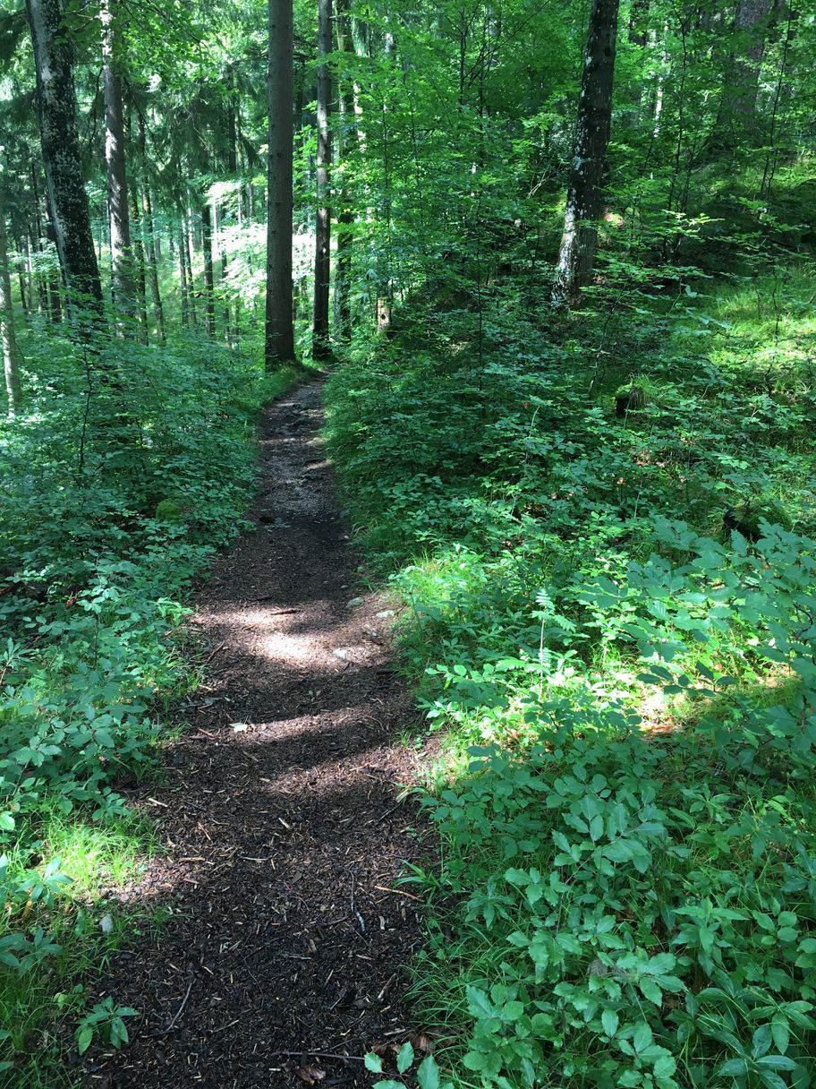 Hahnenkopfweg Richtung Zwei Seen Blick