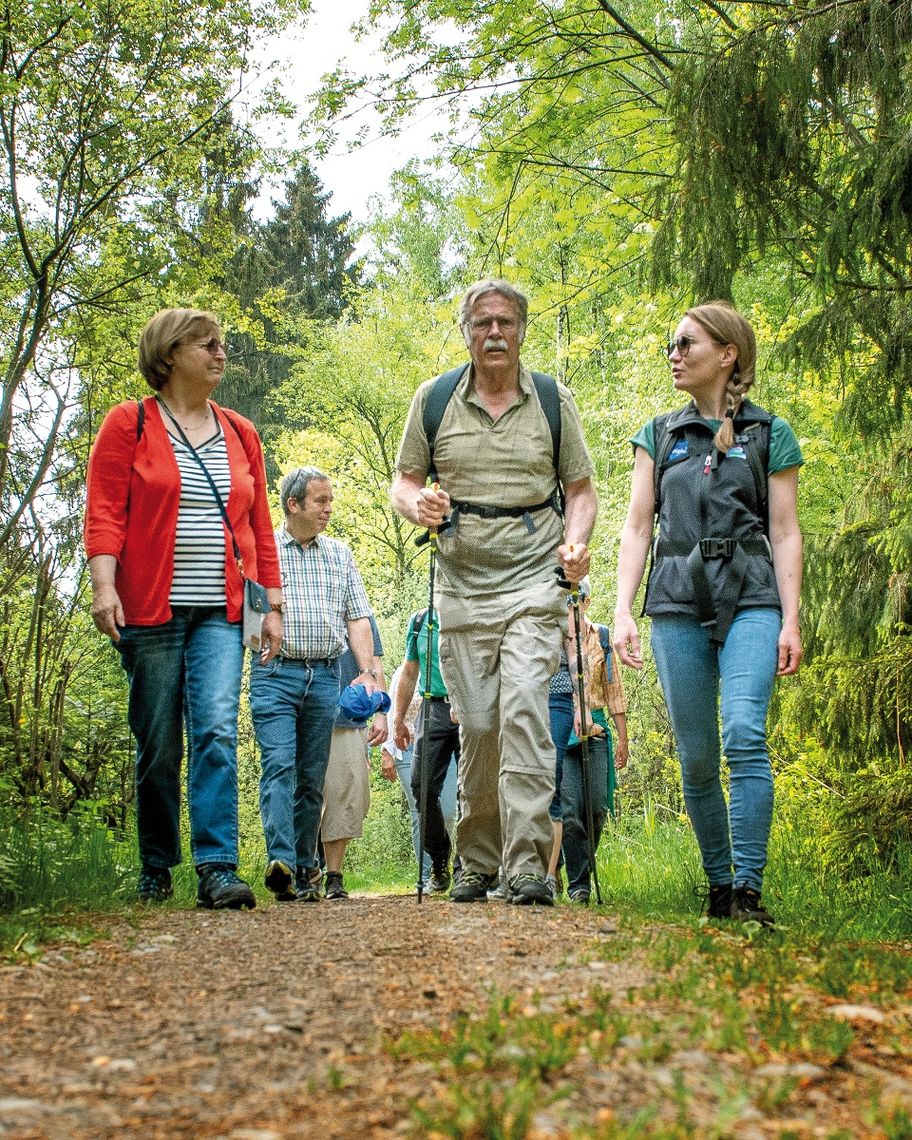 Terrainkurweg 2 - Wandern auf dem Premiumspazierwanderweg "Moor & Wurzeln"