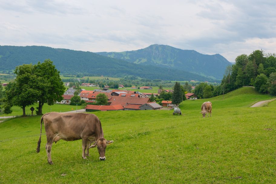 Bei Werdenstein