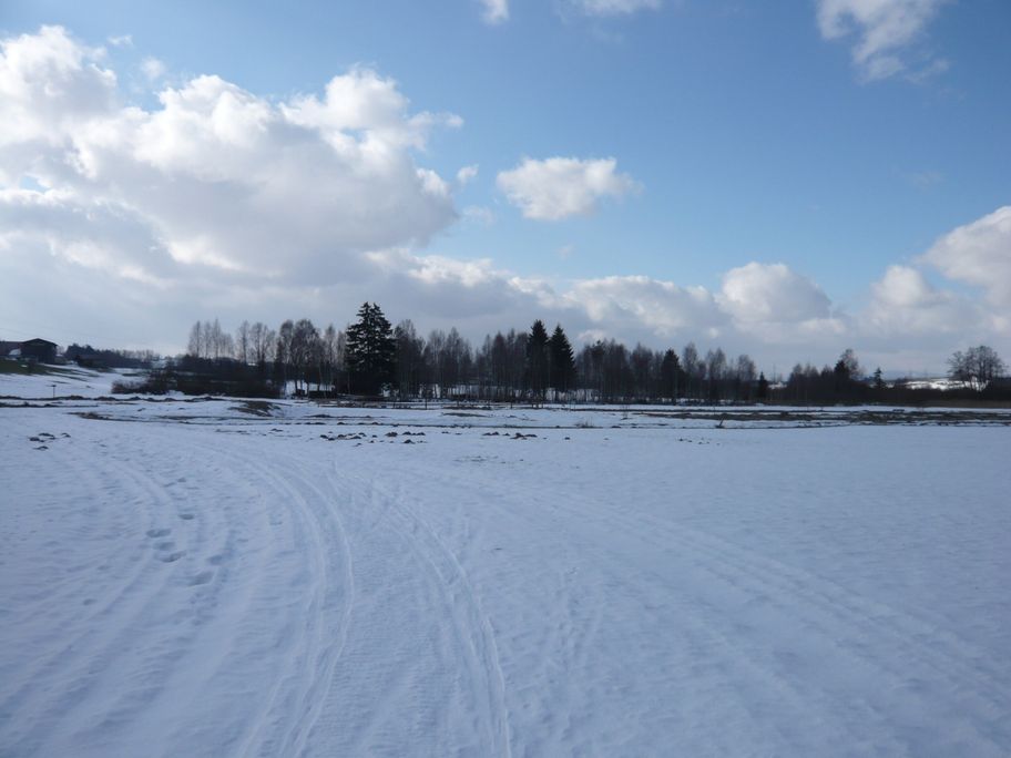 In der Moosloipe westlich von Wildpoldsried