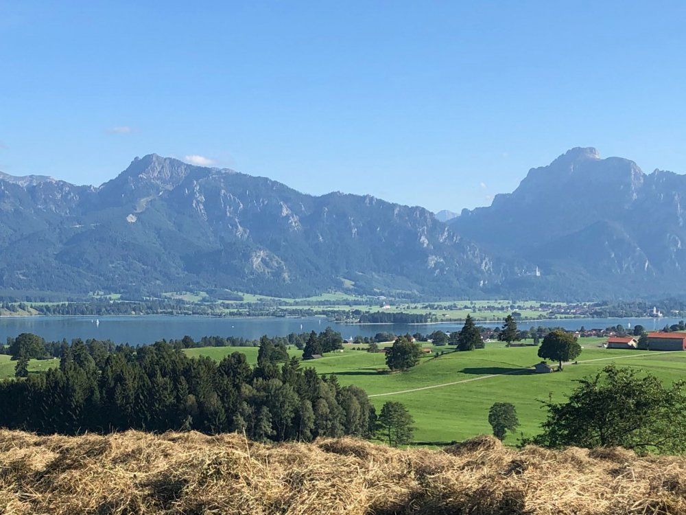 Panoramablick vom Berghof - Blick auf Forggensee