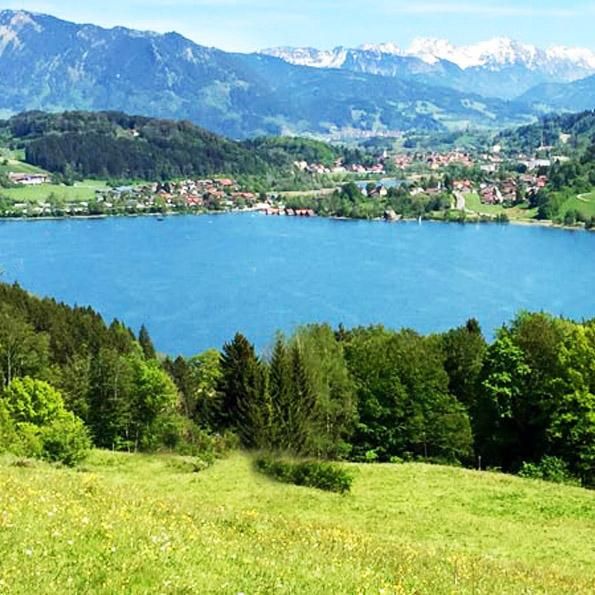 Der Alpsee