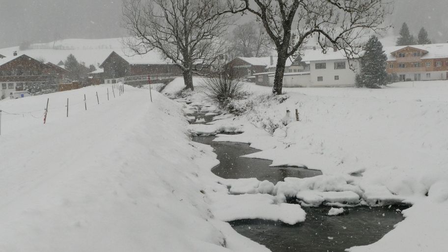 Am Bach entlang Richtung Rubi