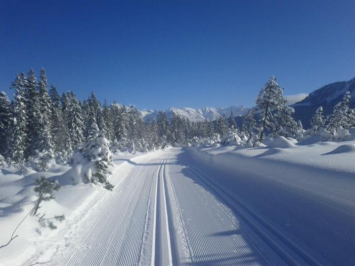 Langlaufen im Allgäu