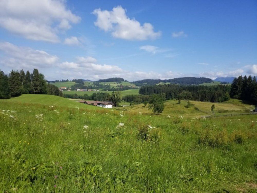 Aussicht vom Gartenhäuschen