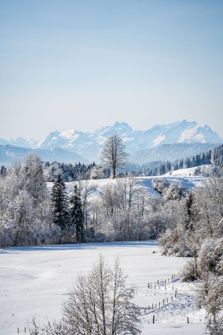 Blick zum Säntis