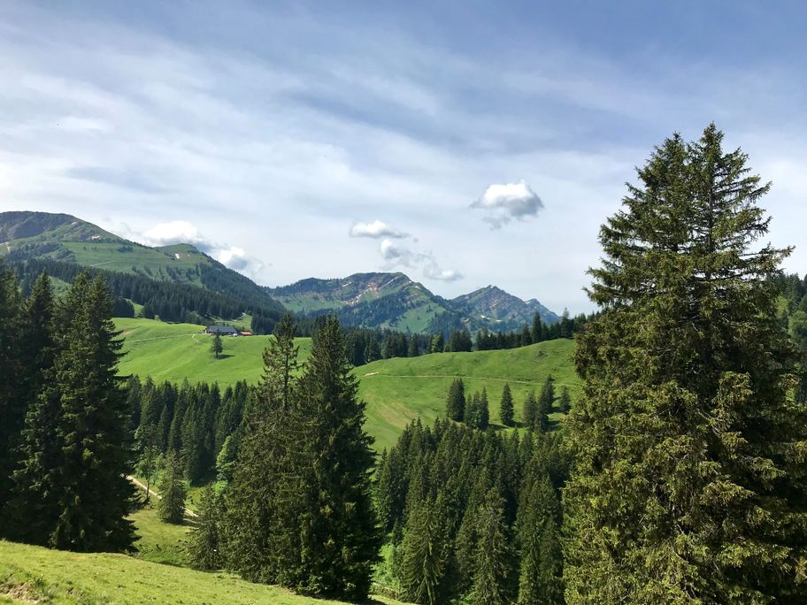 Blick zur Nagelfluhkette