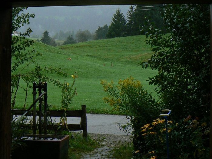 Aussicht aus dem Haus
