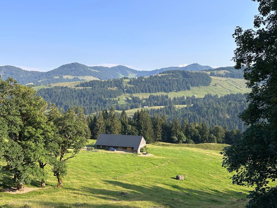 Blick auf die Alpe Ornach