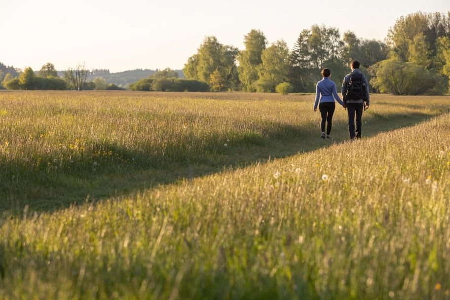 Wiesenweg im Günztal bei Ottobeuren