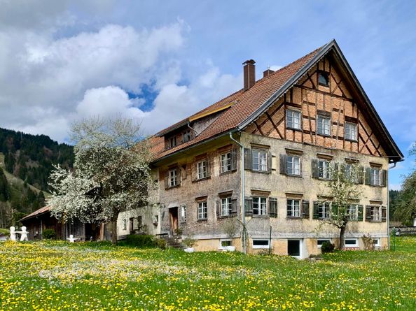 Haus 31 Frühling