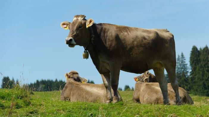 Erhohlung in der Sonne