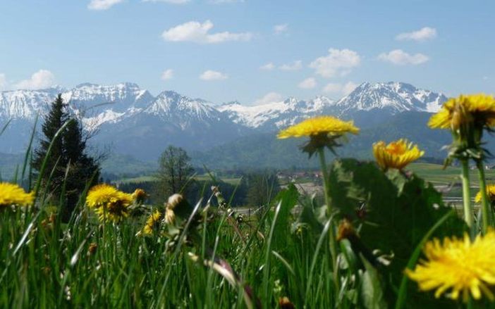 Aussicht im Mai