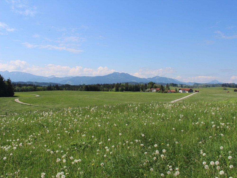 Weitblick