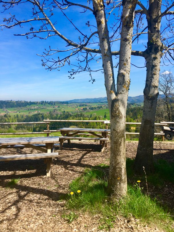 Picknickplatz Motzgatzried