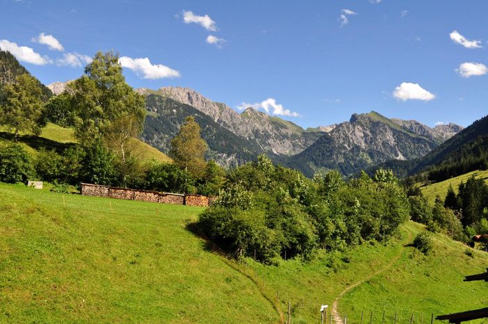 Wanderwege und Ausblick vom Haus