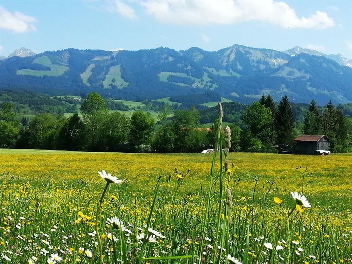 Blick auf den Sonnen-, Heidelbeer-,u.Schnippenkopf