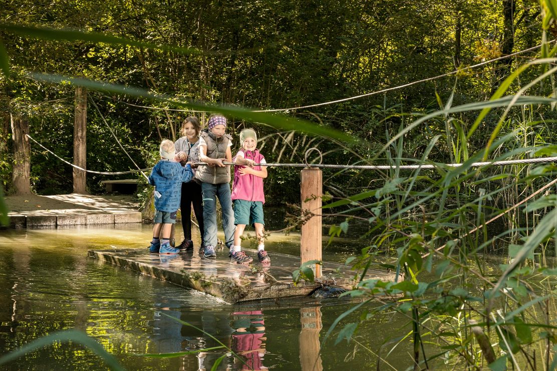 Auwaldpfad im Walderlebniszentrum Füssen