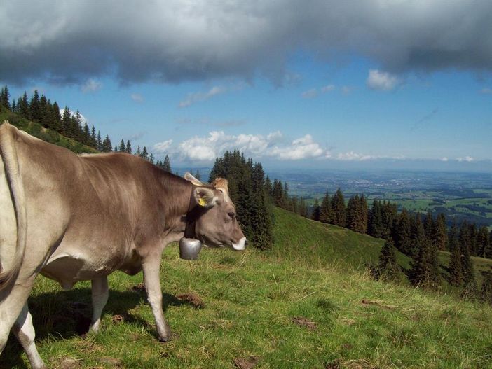 Ausflug zum Wertacher Hörnle