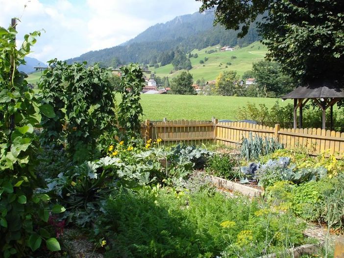unser Gemüsegarten