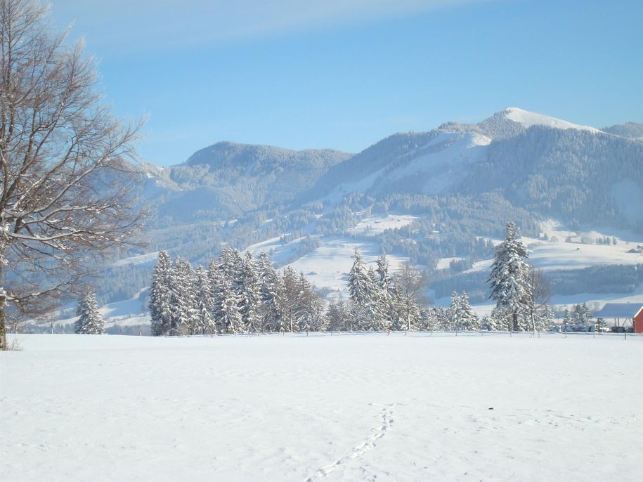 Schneeschuhwanderung