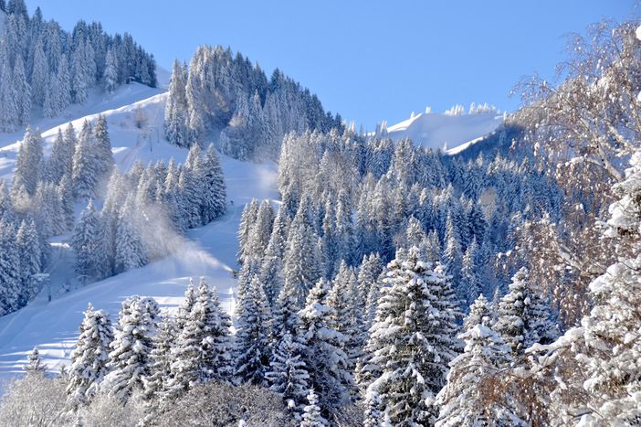 Skipiste am Haus