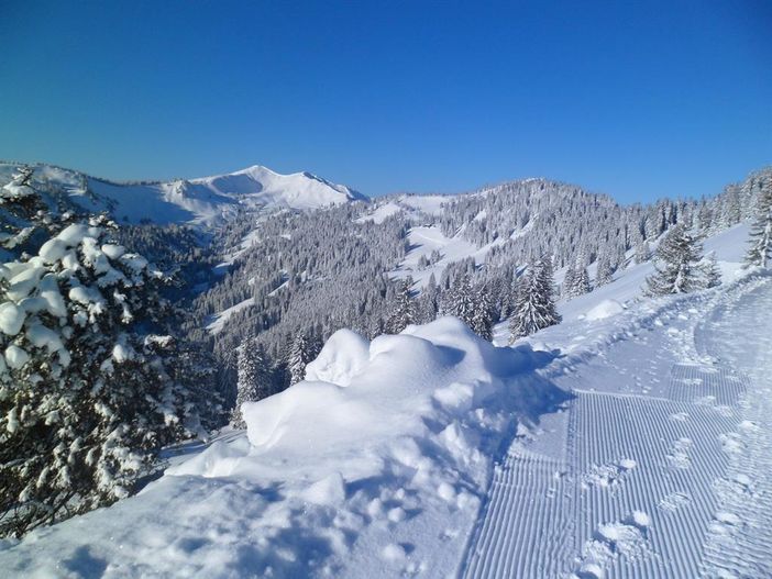 Winter am Horngrat