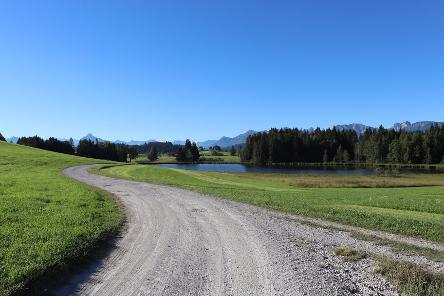 Weg in Richtung Luimoos mit Luimooser Weiher