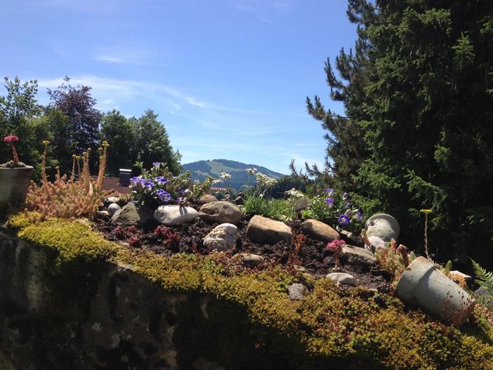 Unser Garten