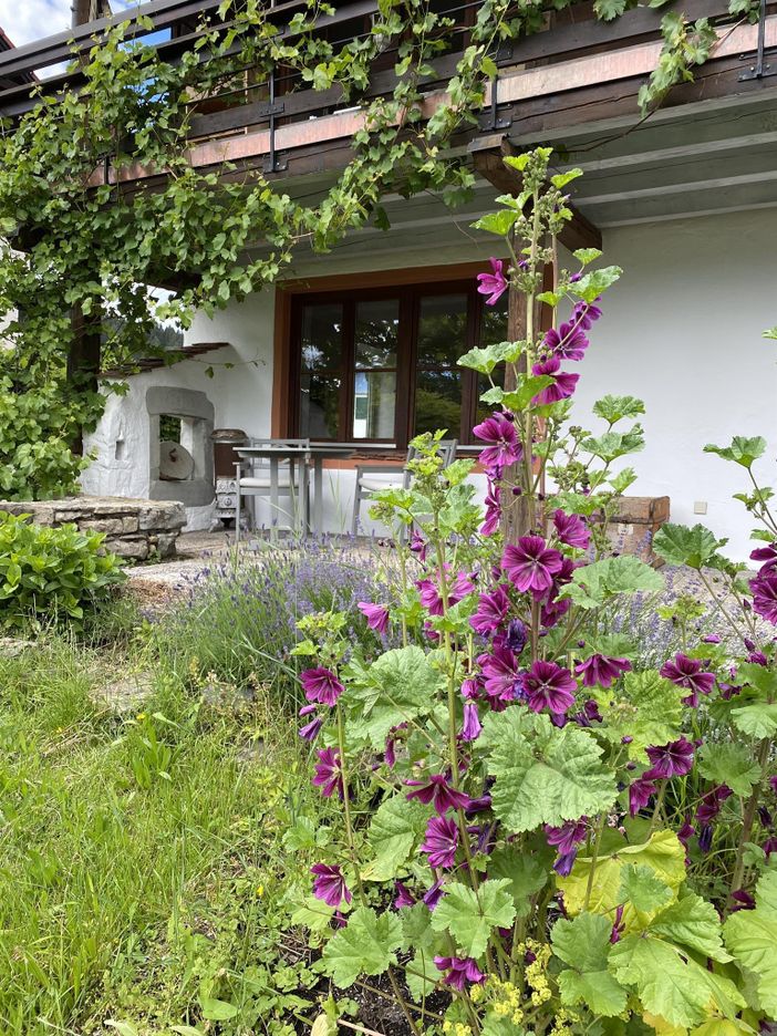 Blick auf die Terrasse