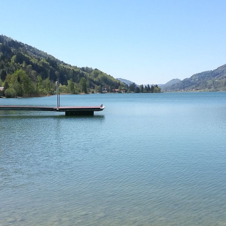 Der Alpsee