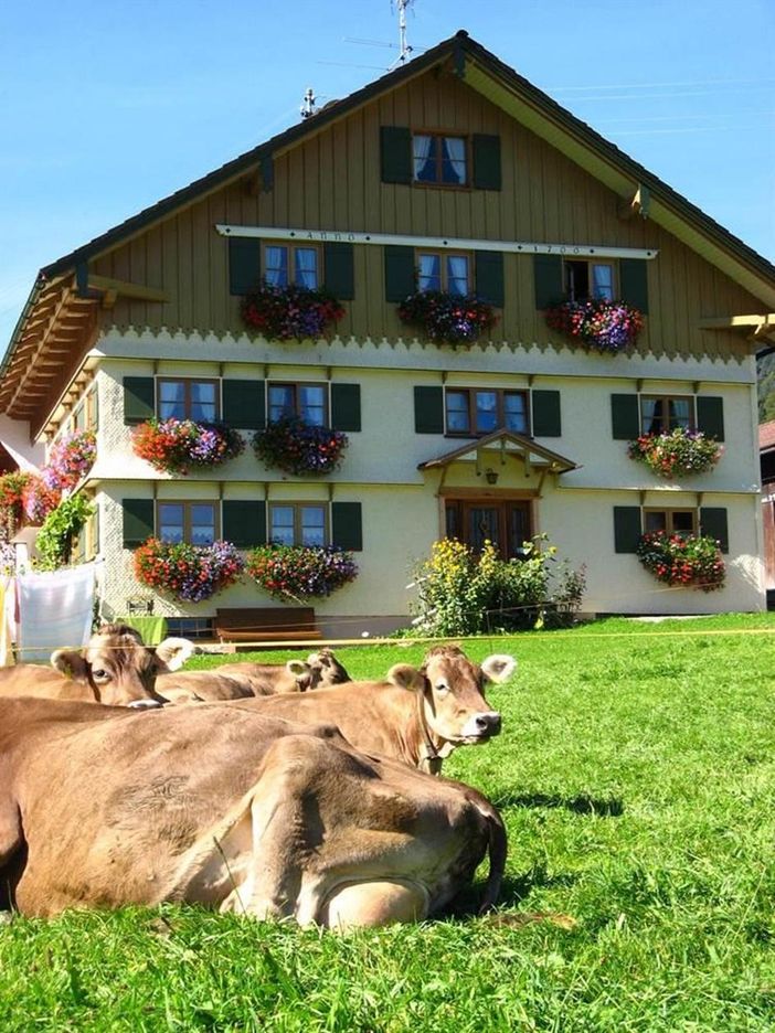 Vorm_Haus_ists_am_schönsten