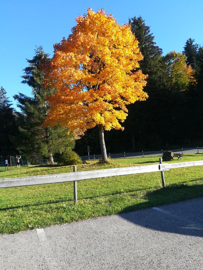 Herbst im Allgäu , wunderschöööön.