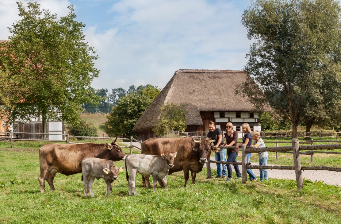 Schwäbisches Bauernhofmuseum Illerbeuren