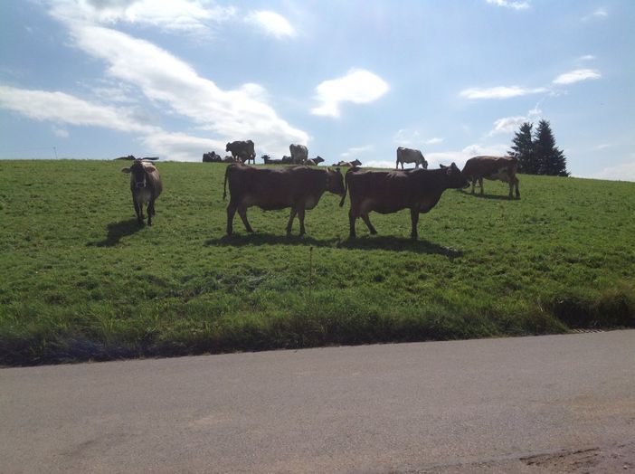 Urlaub auf dem Biohof Pretscher