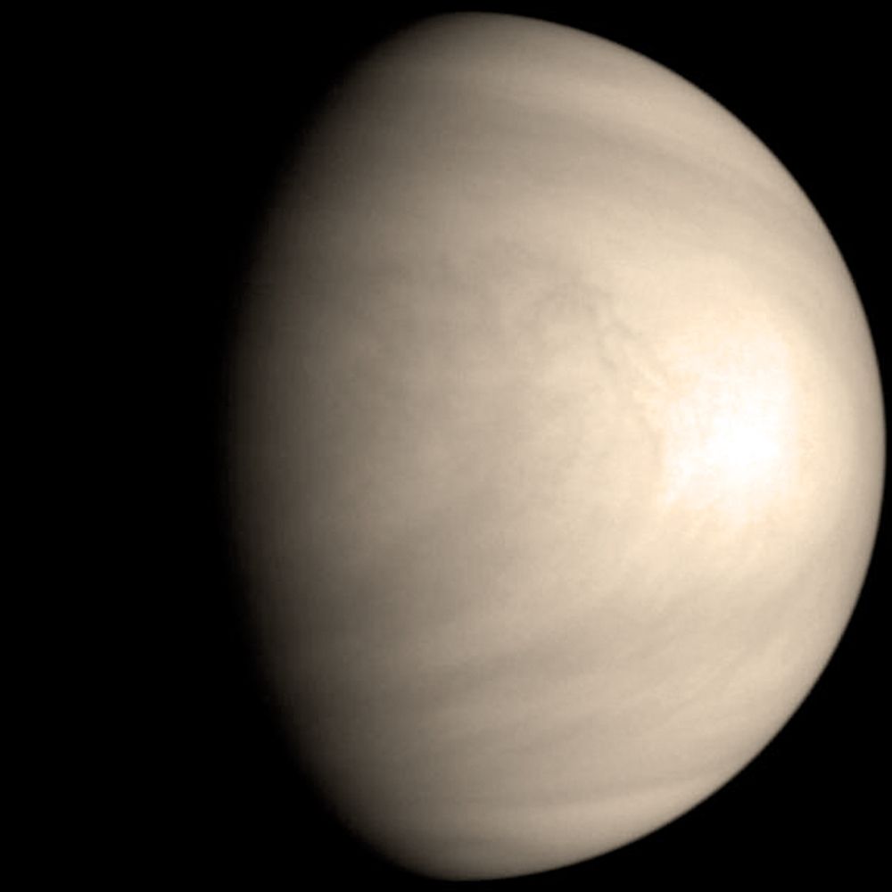 Venus
