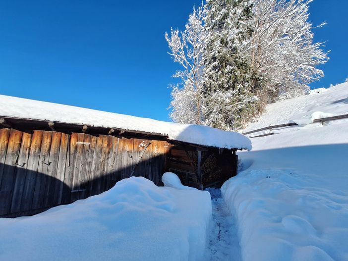 Schnee Schnee Schnee.....