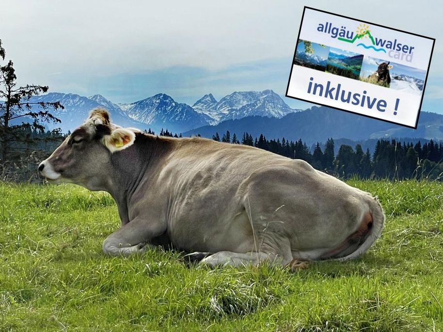 Herzlich willkommen...