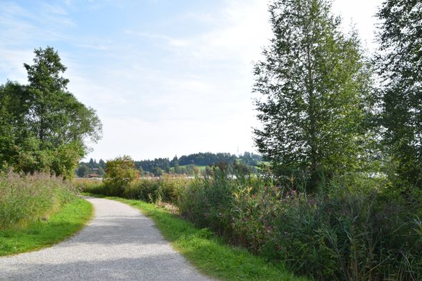 Weißenseerundweg