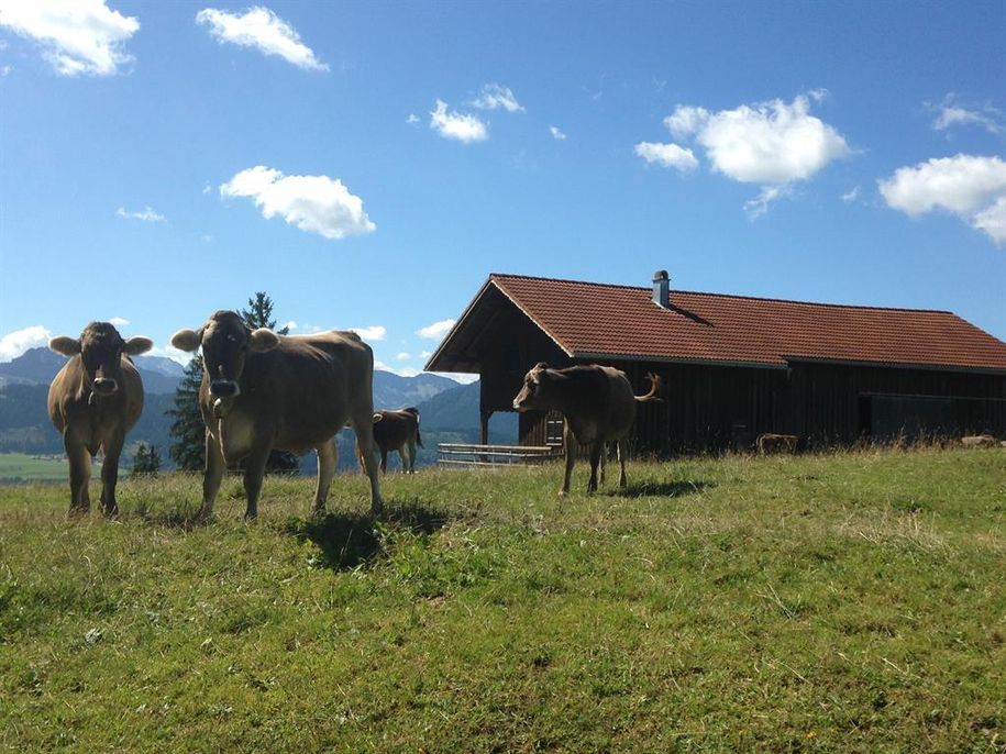 Berghütte Sommer